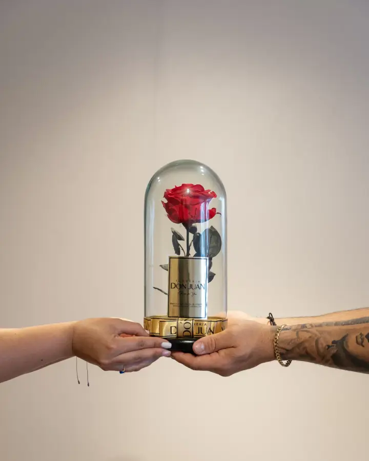 Rosa eterna en cúpula de vidrio, entregada en mano — fotografía real de la casa
