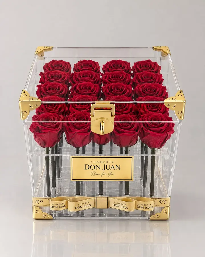 Cofre de 20 rosas eternas — Rosas eternas de Florería Don Juan, fotografía studio — vista de frente
