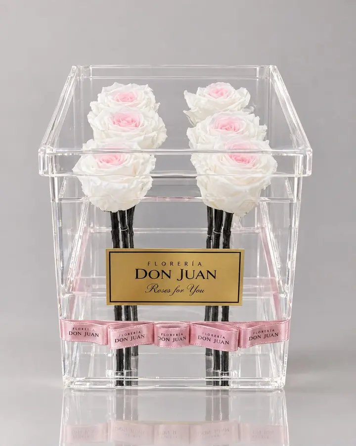 Caja Deluxe 6 rosas preservadas — Rosas eternas de Florería Don Juan, fotografía studio — vista de frente