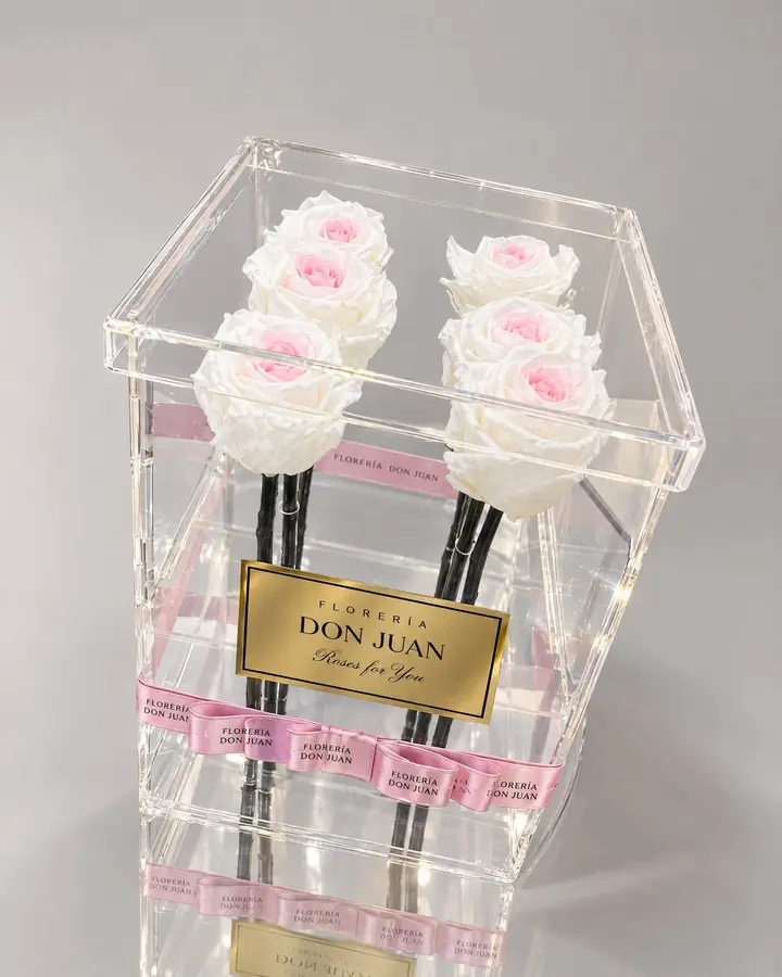 Caja Deluxe 6 rosas preservadas — Rosas eternas de Florería Don Juan, fotografía studio