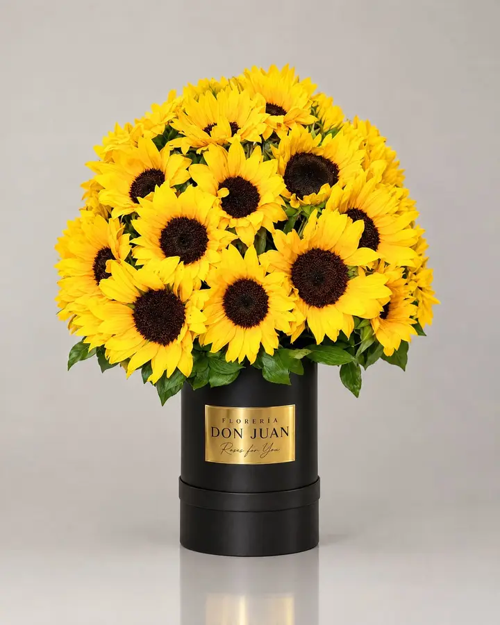 Burbuja de girasoles Grandes — Girasoles y amarillas de Florería Don Juan, fotografía studio — vista de frente