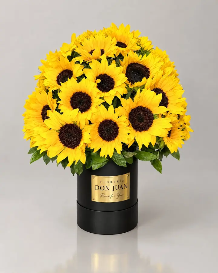 Burbuja de girasoles Grandes — Girasoles y amarillas de Florería Don Juan, fotografía studio