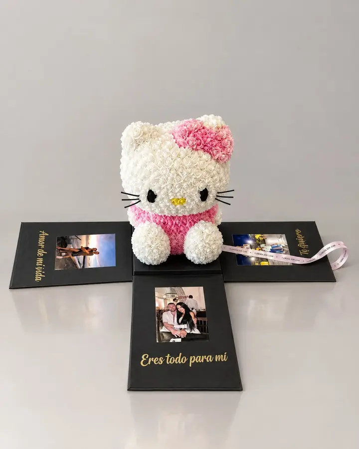 Hello kitty — Teddys y figuras de Florería Don Juan, fotografía studio — vista de frente