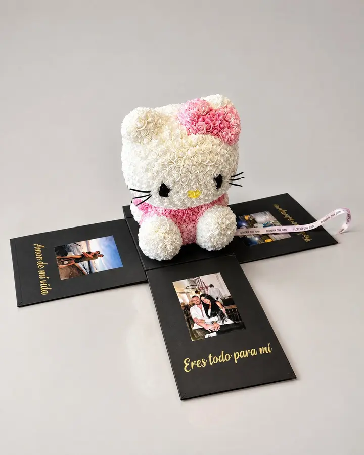 Hello kitty — Teddys y figuras de Florería Don Juan, fotografía studio