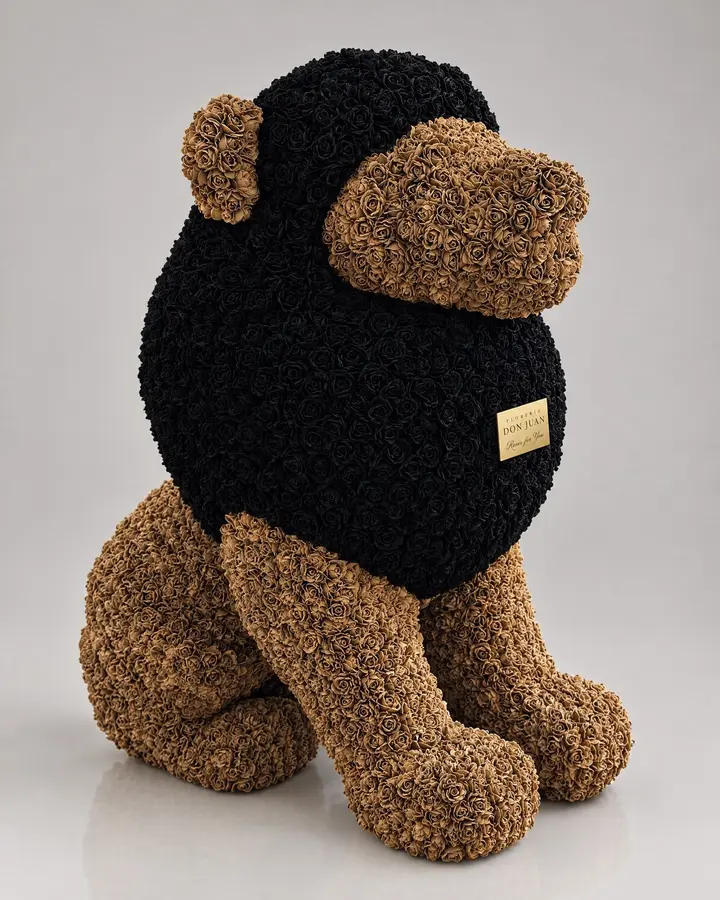 León — Teddys y figuras de Florería Don Juan, fotografía studio