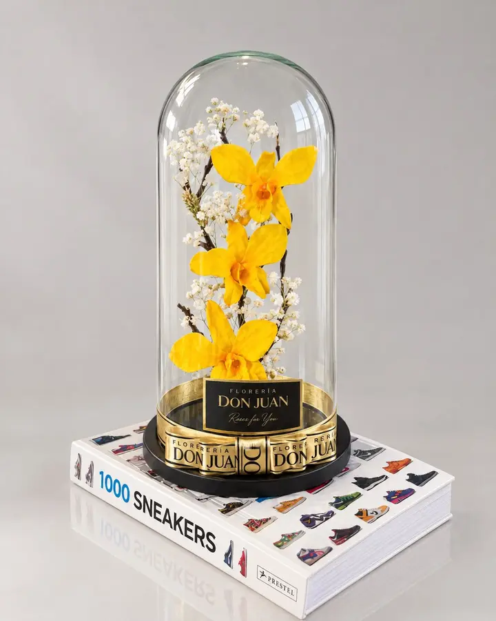 Orquídea preservada — Rosas eternas de Florería Don Juan, fotografía studio