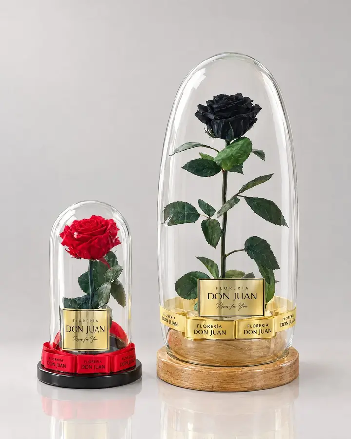 Rosa preservada Deluxe 75 cm — Rosas eternas de Florería Don Juan, fotografía studio — vista de frente