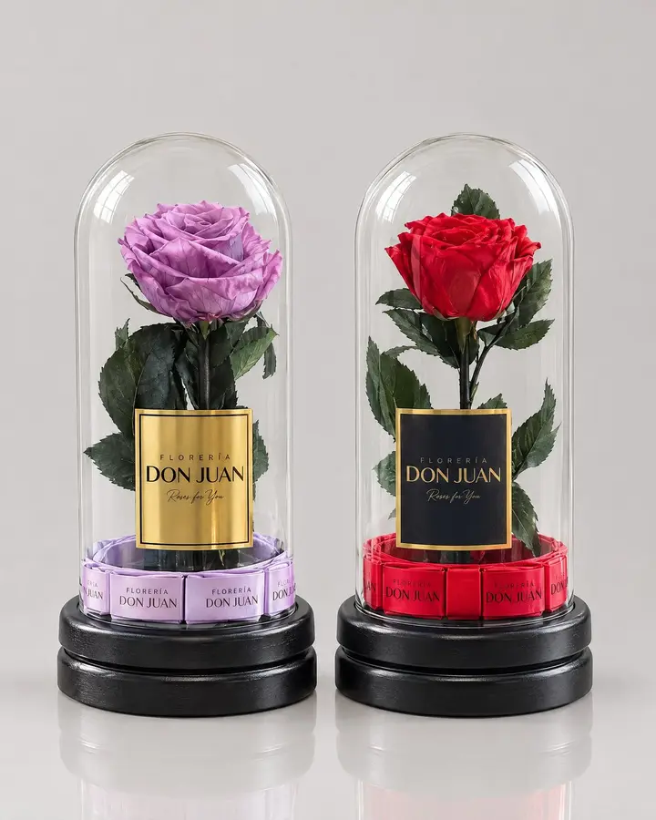 Rosa preservada en Cupula — Rosas eternas de Florería Don Juan, fotografía studio — vista de frente