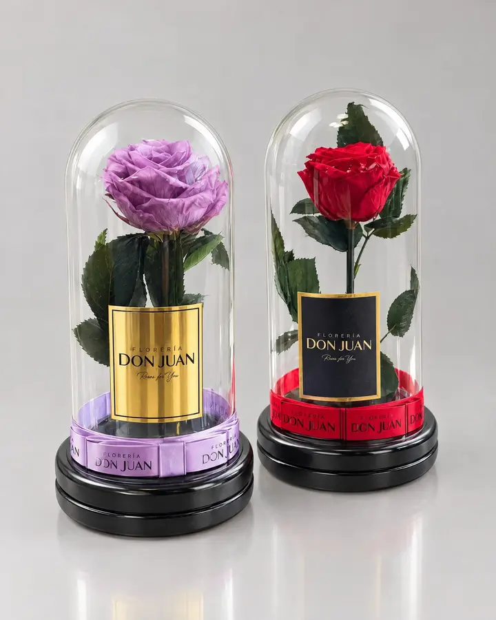 Rosa preservada en Cupula — Rosas eternas de Florería Don Juan, fotografía studio