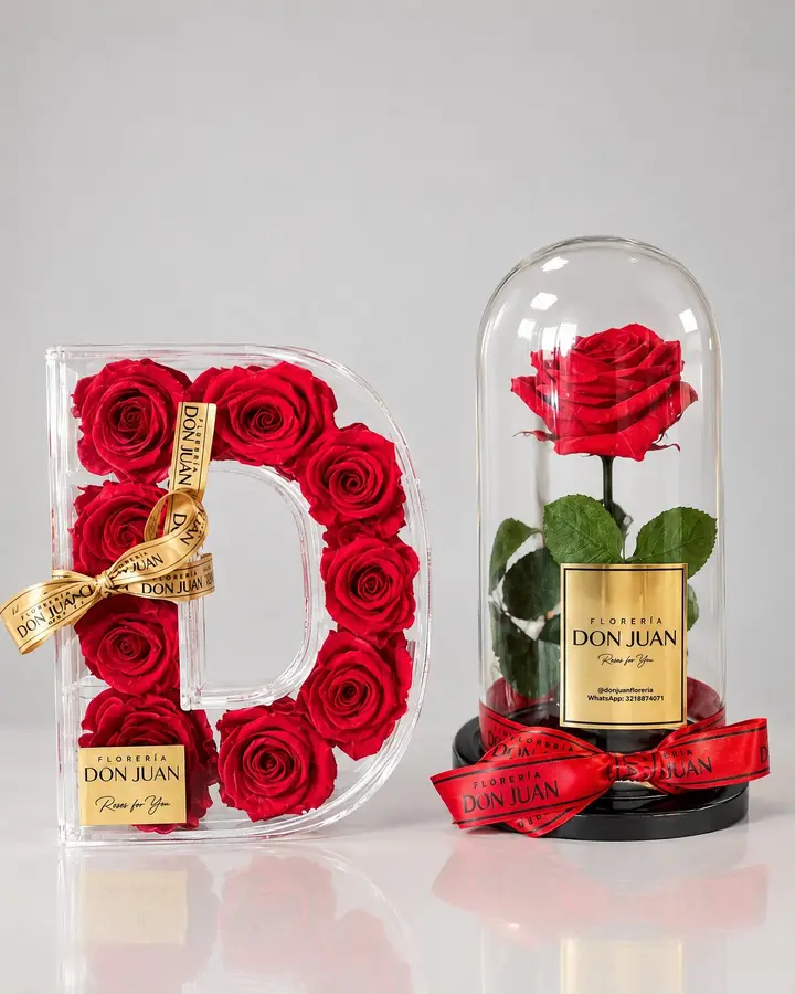Inicial con rosas preservadas y rosa en cúpula — Iniciales y nombres de Florería Don Juan, fotografía studio — vista de frente
