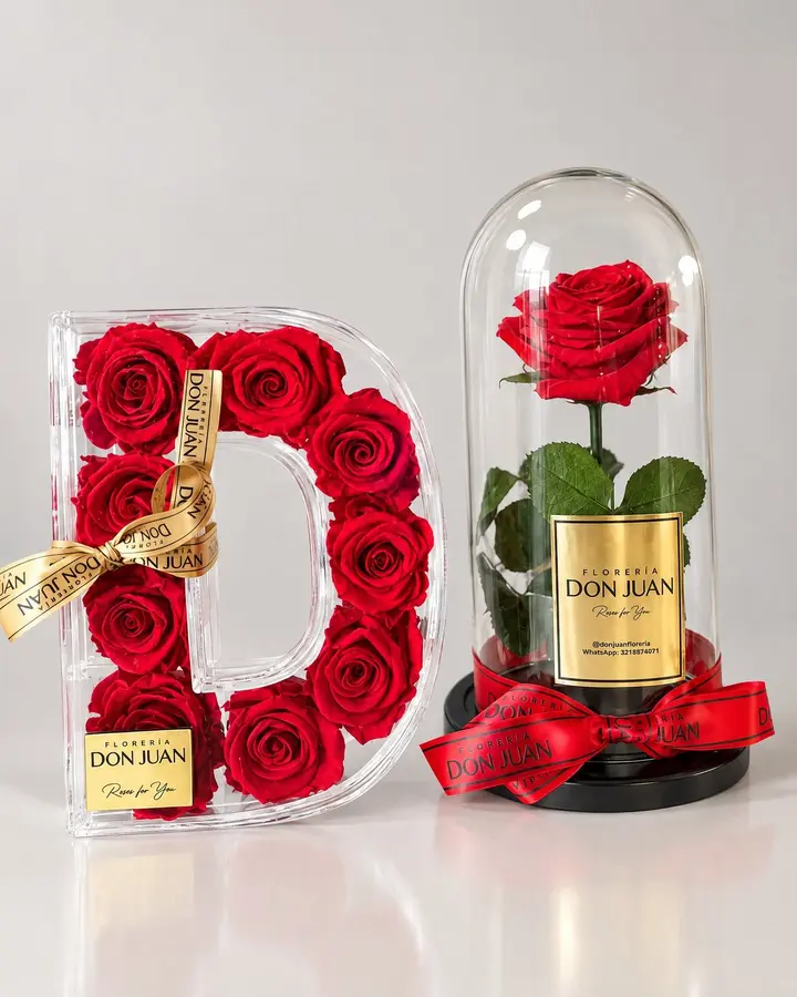Inicial con rosas preservadas y rosa en cúpula — Iniciales y nombres de Florería Don Juan, fotografía studio