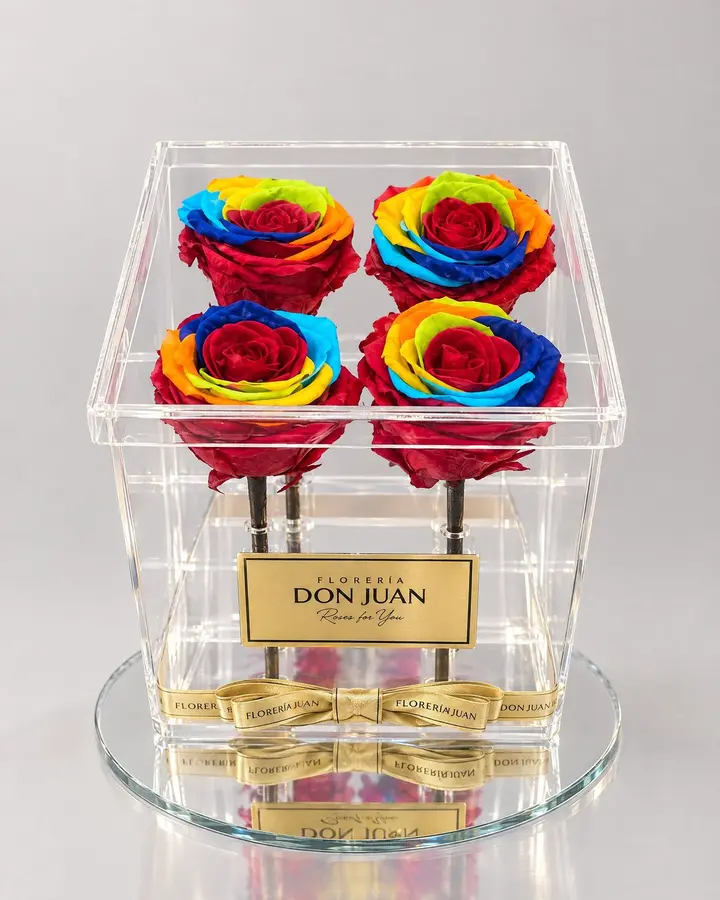 Caja Deluxe x 4 arcoíris — Rosas eternas de Florería Don Juan, fotografía studio — vista de frente
