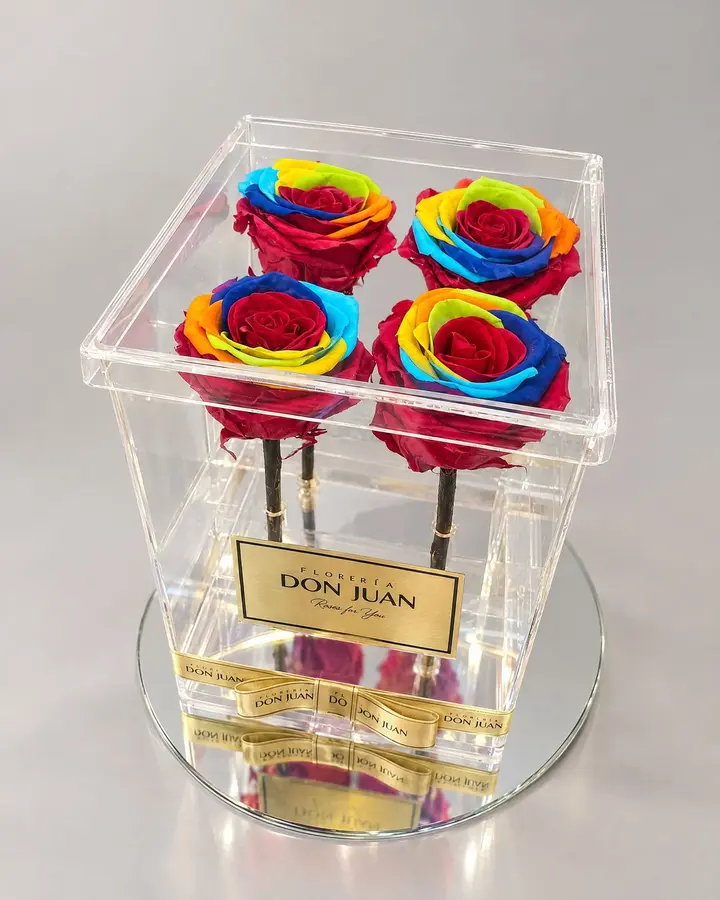 Caja Deluxe x 4 arcoíris — Rosas eternas de Florería Don Juan, fotografía studio