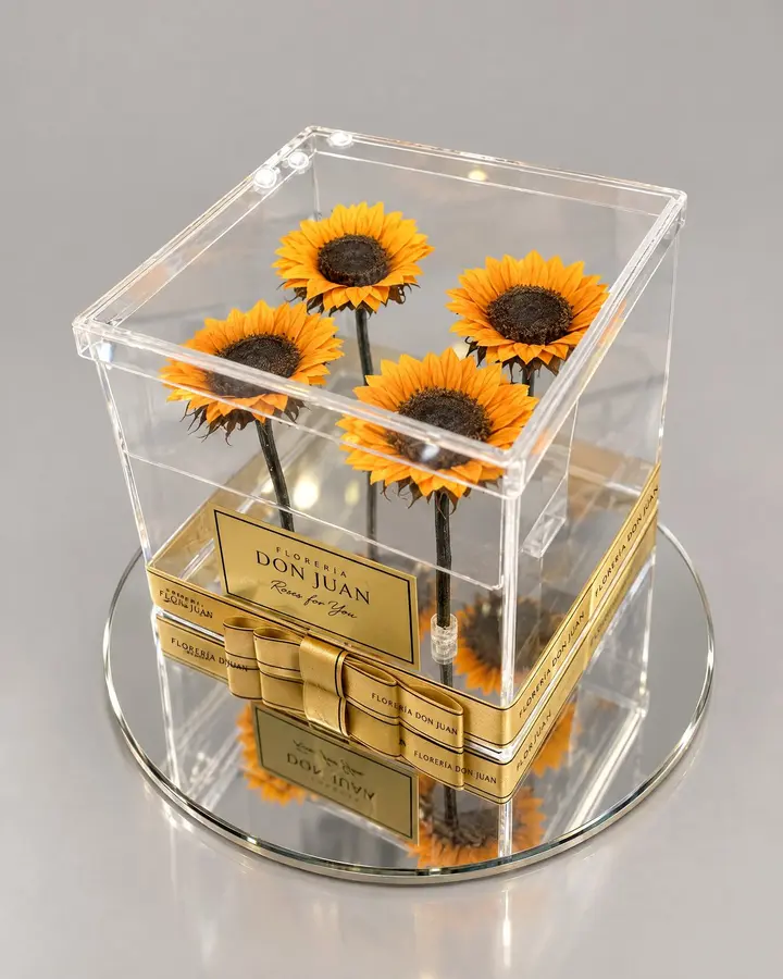 Jardín de girasoles preservados — Girasoles y amarillas de Florería Don Juan, fotografía studio