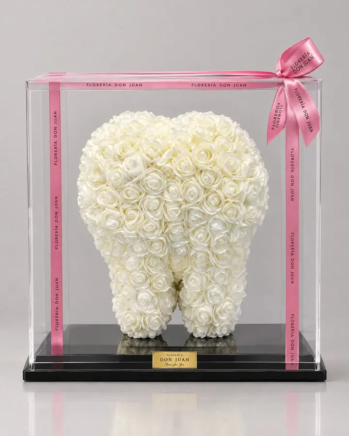 Muela de 25 cm — Teddys y figuras de Florería Don Juan, fotografía studio — vista de frente