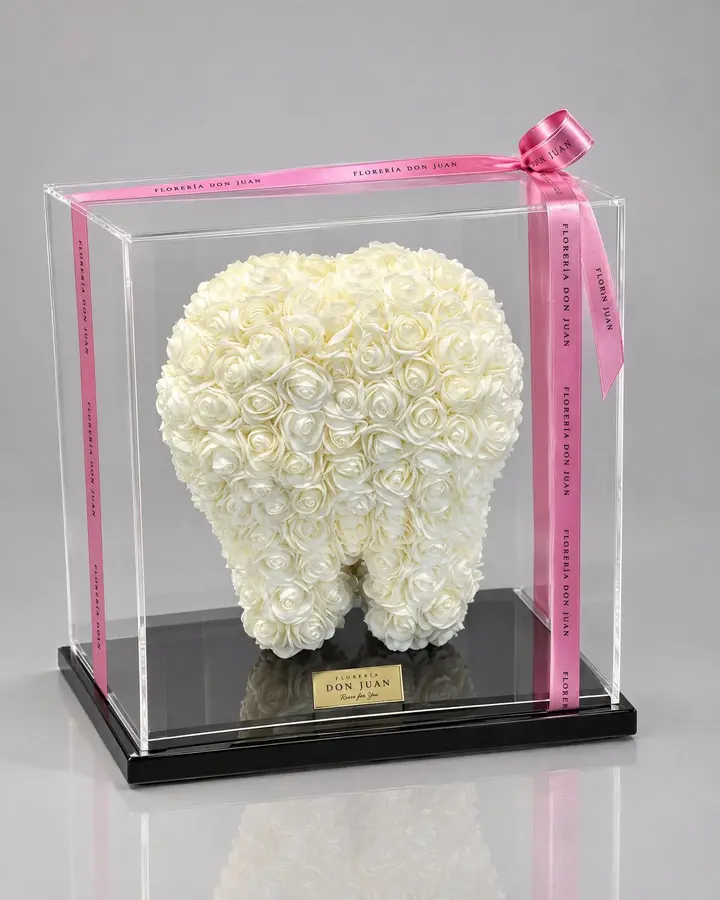 Muela de 25 cm — Teddys y figuras de Florería Don Juan, fotografía studio
