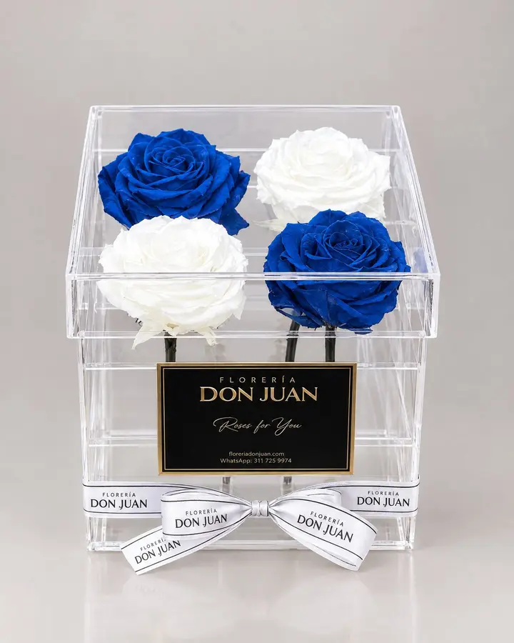 Caja de 4 rosas premium — Rosas eternas de Florería Don Juan, fotografía studio — vista de frente