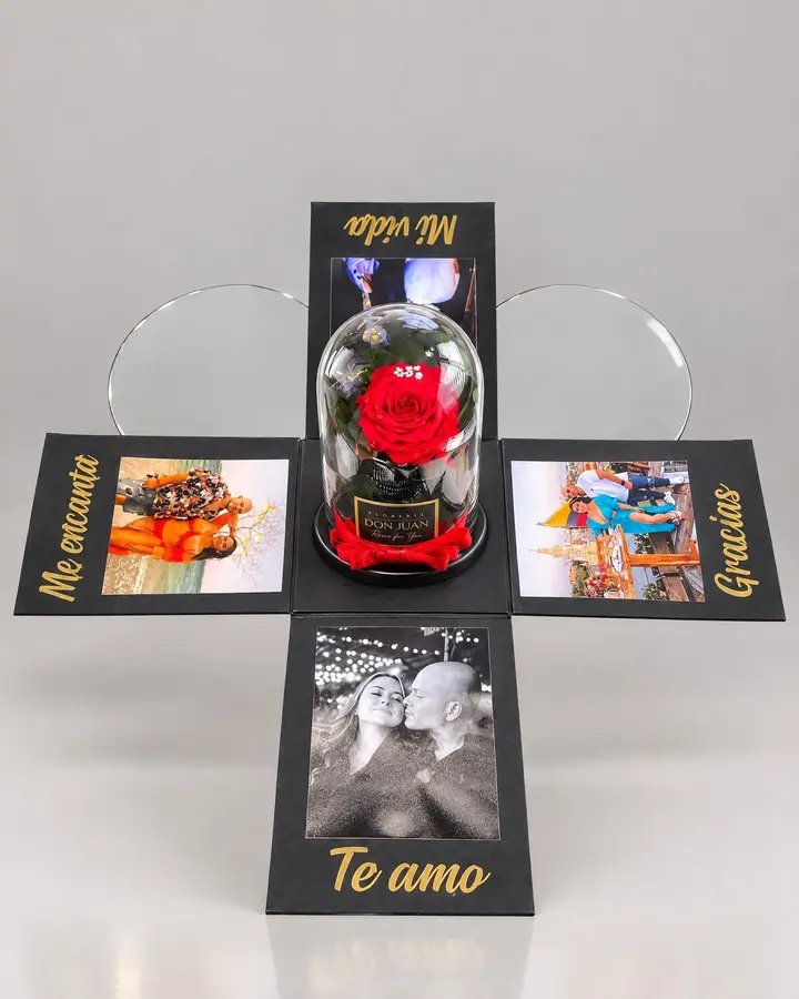Rosa preservada en caja personalizada — Rosas eternas de Florería Don Juan, fotografía studio — vista de frente