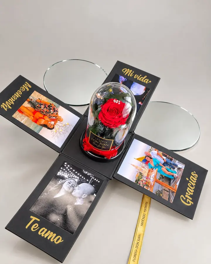 Rosa preservada en caja personalizada — Rosas eternas de Florería Don Juan, fotografía studio