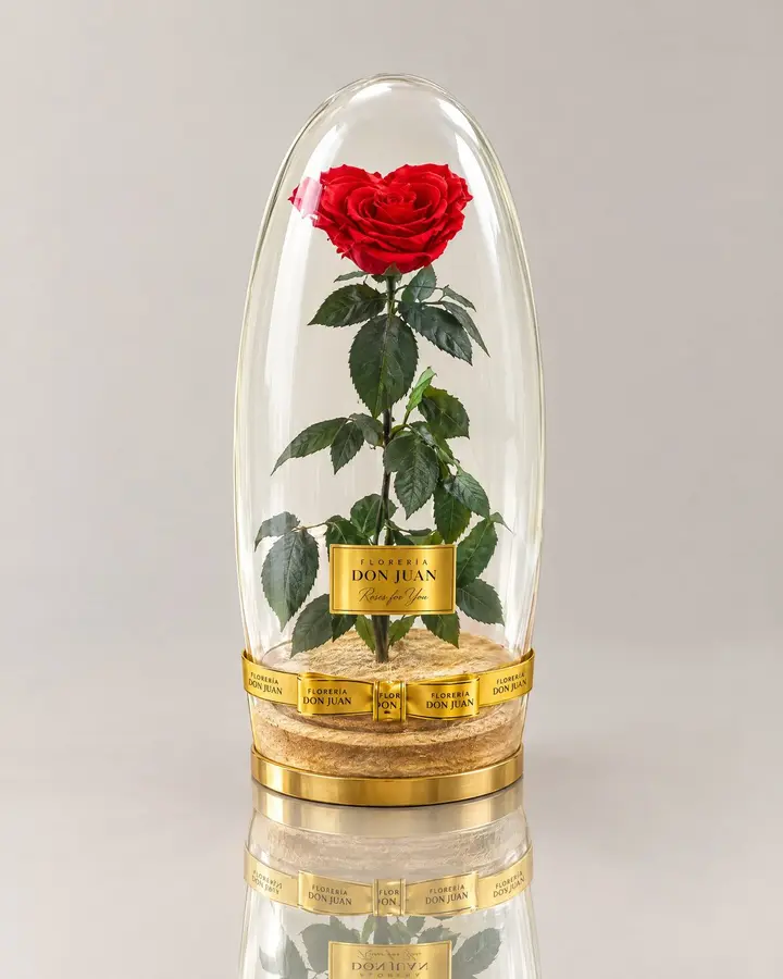 Rosa de 80Cm en forma de Corazon — Rosas eternas de Florería Don Juan, fotografía studio — vista de frente