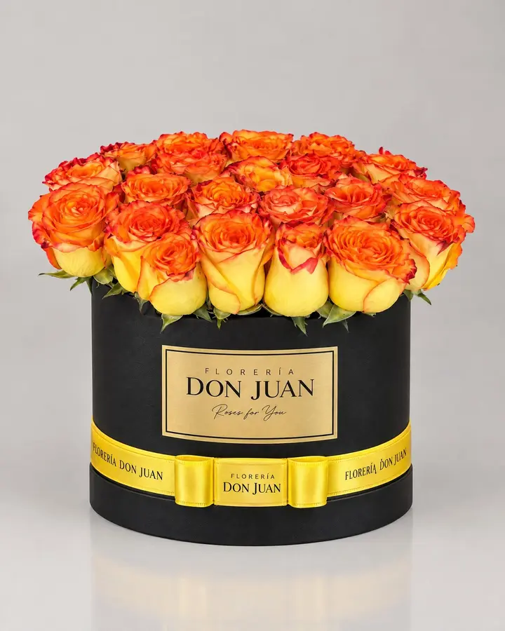 Cilindro de 24 rosas amarillas — Girasoles y amarillas de Florería Don Juan, fotografía studio — vista de frente