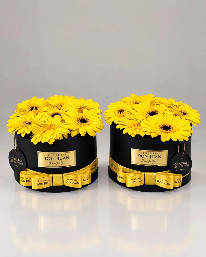 Cilindro de gerberas — Girasoles y amarillas de Florería Don Juan, fotografía studio — vista de frente