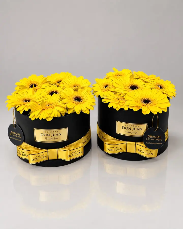 Cilindro de gerberas — Girasoles y amarillas de Florería Don Juan, fotografía studio